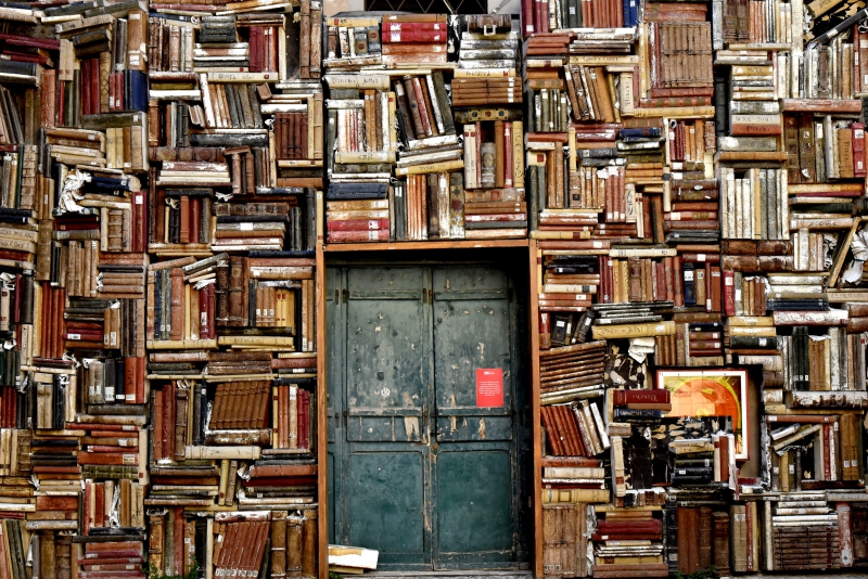 librairie-LA GARDE-min_books-1655783